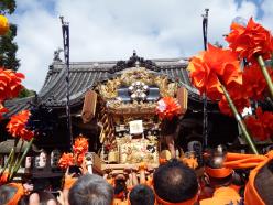 2019MATSURI_0974.JPG