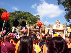 2019MATSURI_1008.JPG