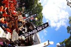 2019MATSURI_1080.JPG