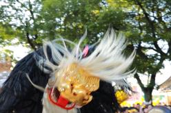 2019MATSURI_1177.JPG