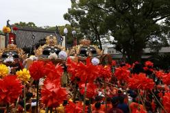 R5HIRU1386.jpg