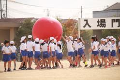 CS_1153.JPG