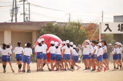 CS_1154.JPG
