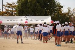 CS_1162.JPG