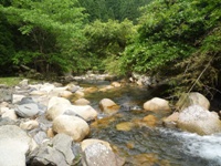 f03