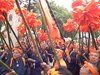 DSCF2557