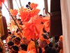 DSCF2770