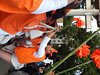 DSCF2847