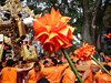 DSCF2659