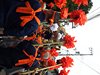 DSCF1419