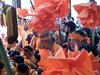 DSCF2768