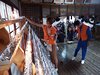 DSCF2713