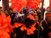 DSCF2766