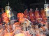 DSCF3178