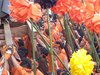 DSCF2577