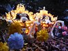 DSCF1459