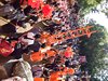 DSCF2251
