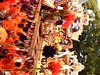 DSCF2191