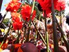 DSCF2162