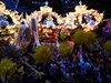 DSCF1472