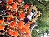 DSCF2146