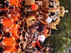 DSCF2142