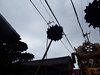 DSCF3850