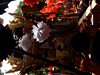 DSCF4164