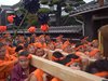 DSCF3844