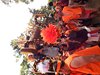 DSCF4161
