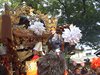 DSCF4282