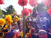 DSCF4208