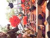 DSCF4187