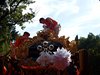 DSCF4292