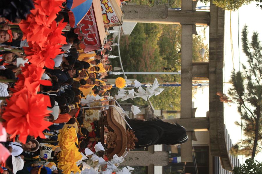CS_5700.JPG