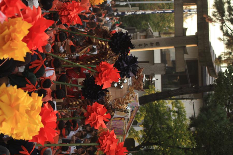 CS_5788.JPG
