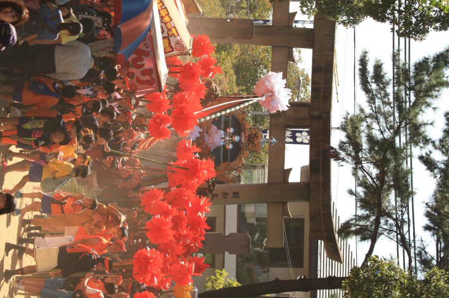 CS_4820.JPG