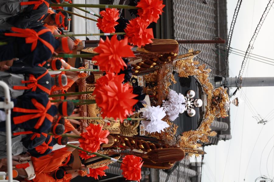 CS_0803.JPG