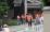 CS_0718.JPG